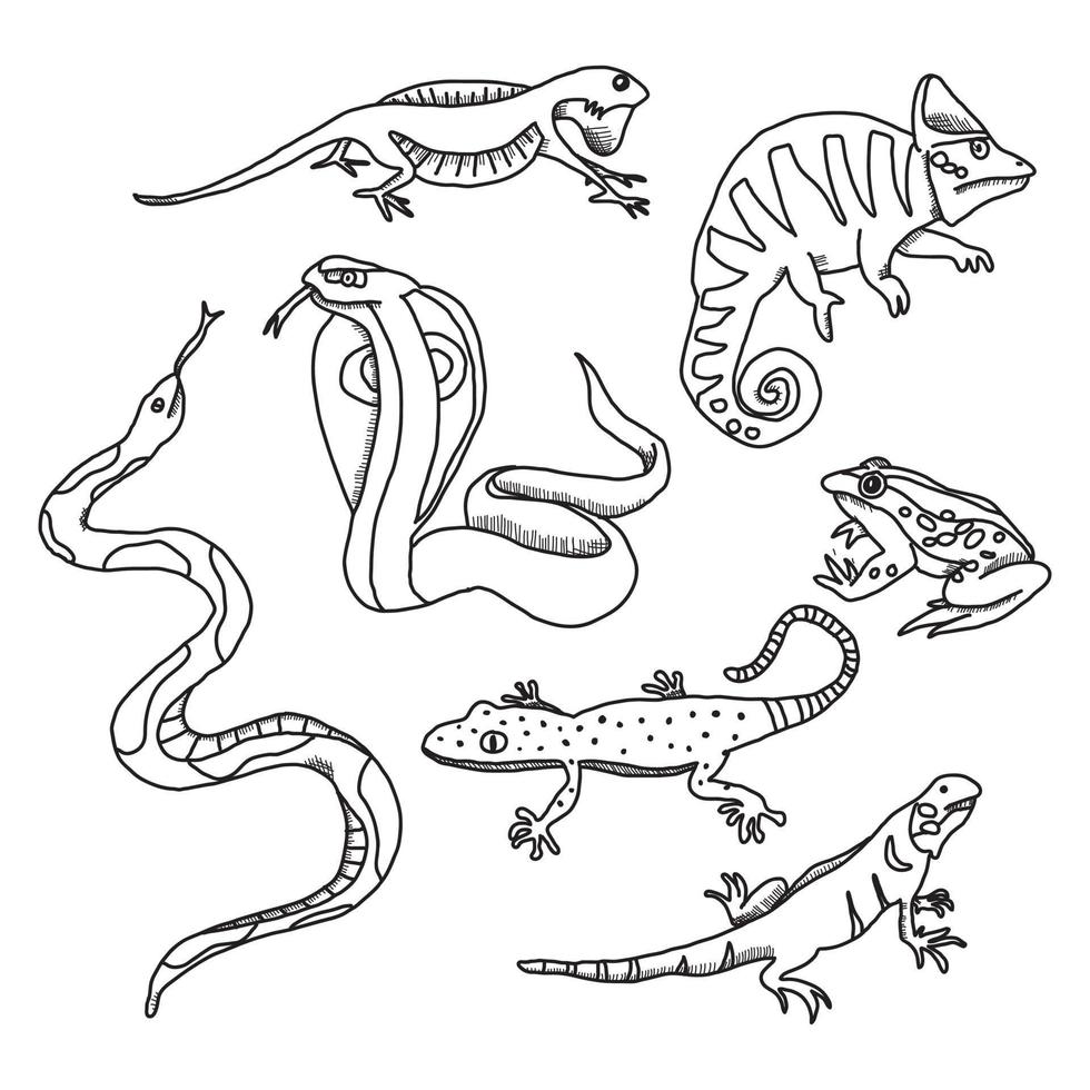 Reptiles Doodled Drawings vector