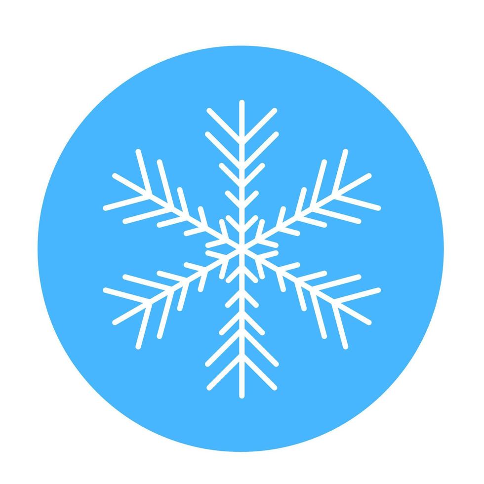 Vector  winter snowflake icon. illustration for web