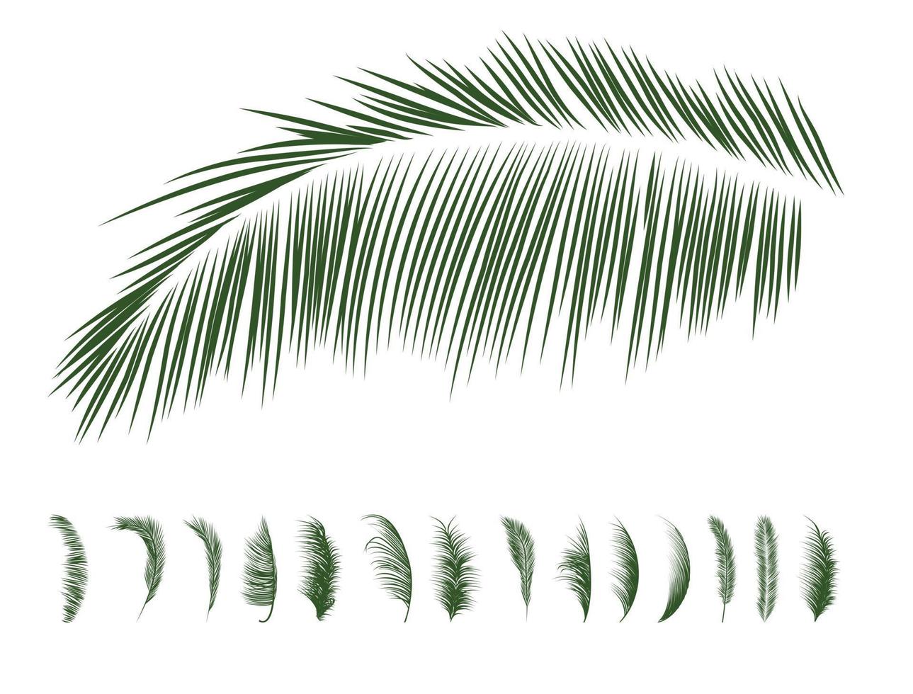 Set of palm branches silhouettes vector