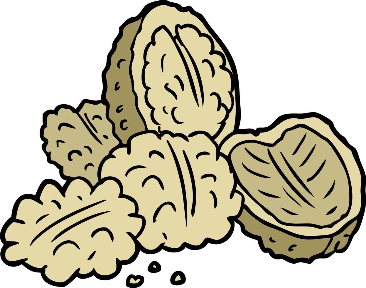 cartoon isolated walnuts vector