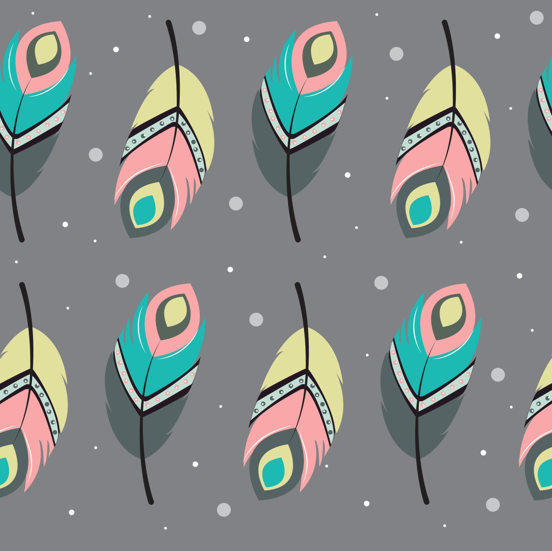 multicolored feathers delicate colors and gray background 14048052