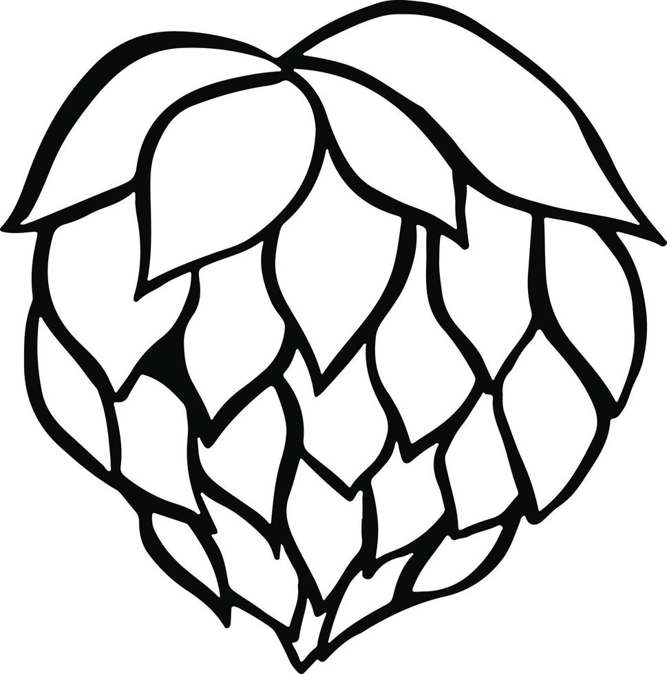 Hops beer plant vector illustration