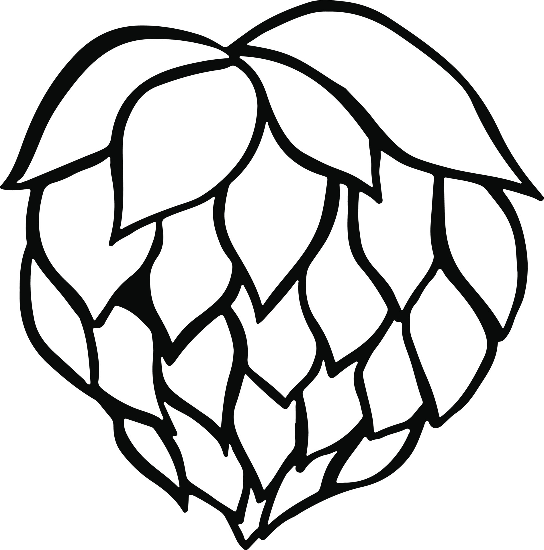 Hops beer plant vector illustration 14048813 Vector Art at Vecteezy