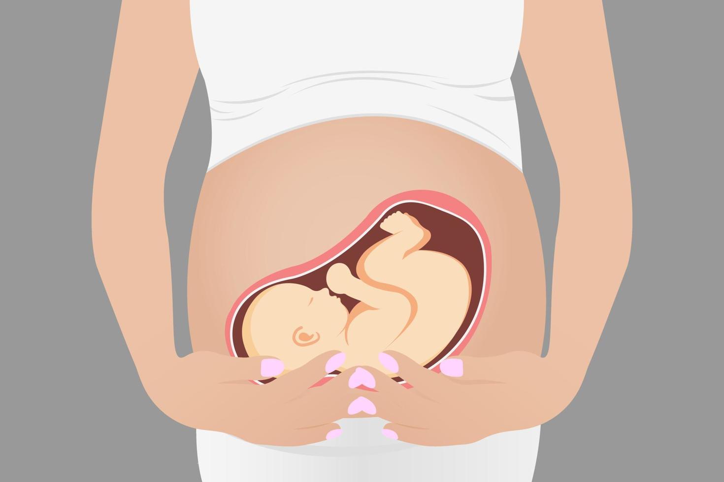 Beautiful pregnant woman, expectant mother hugging her belly with her hands vector