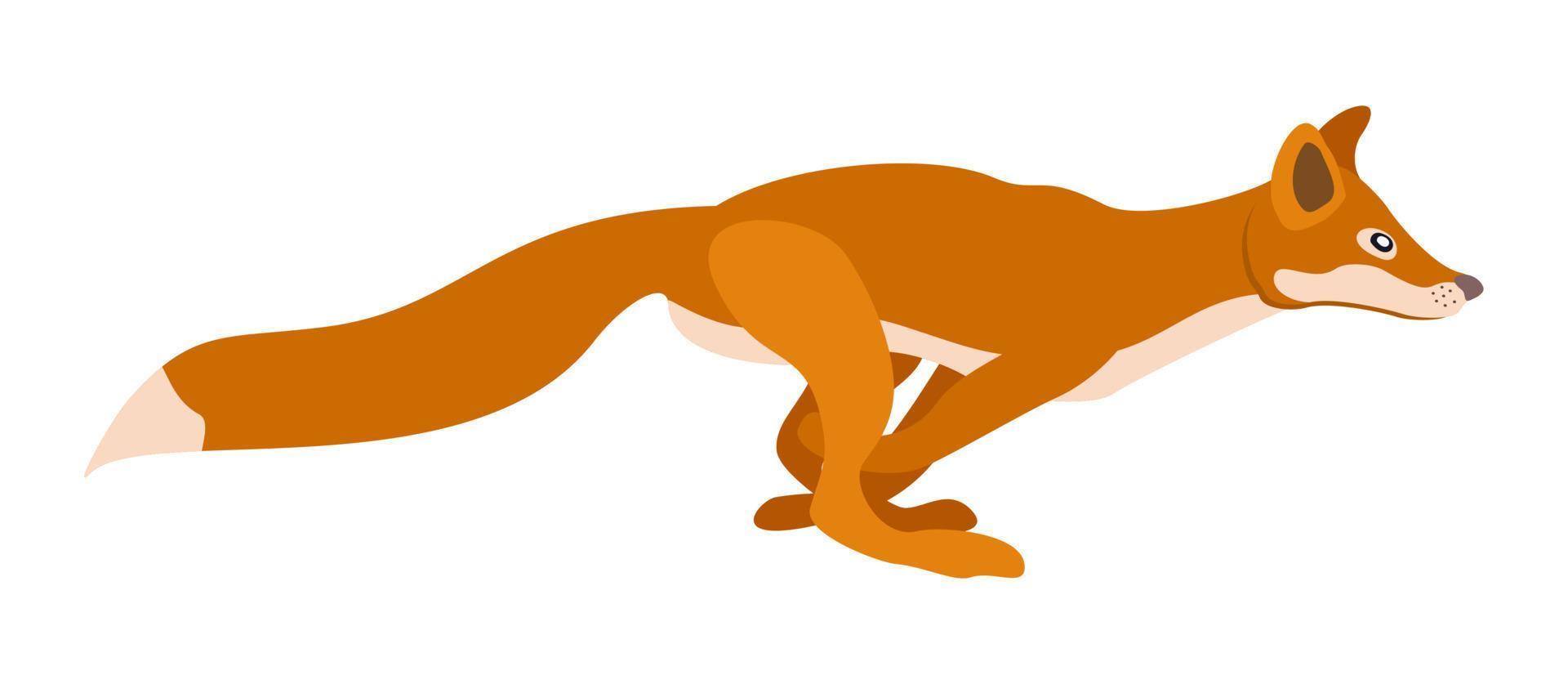 Running fox. Vector isolated illustration.