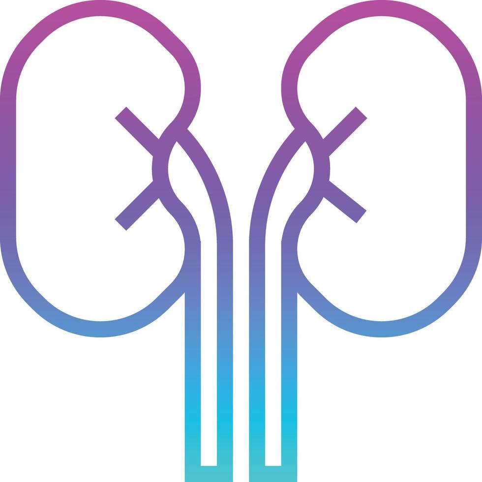 kidney organ healthcare medical - gradient icon vector