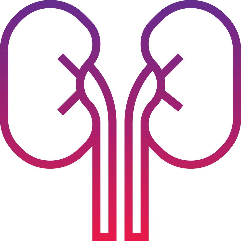 kidney organ healthcare medical - gradient icon vector