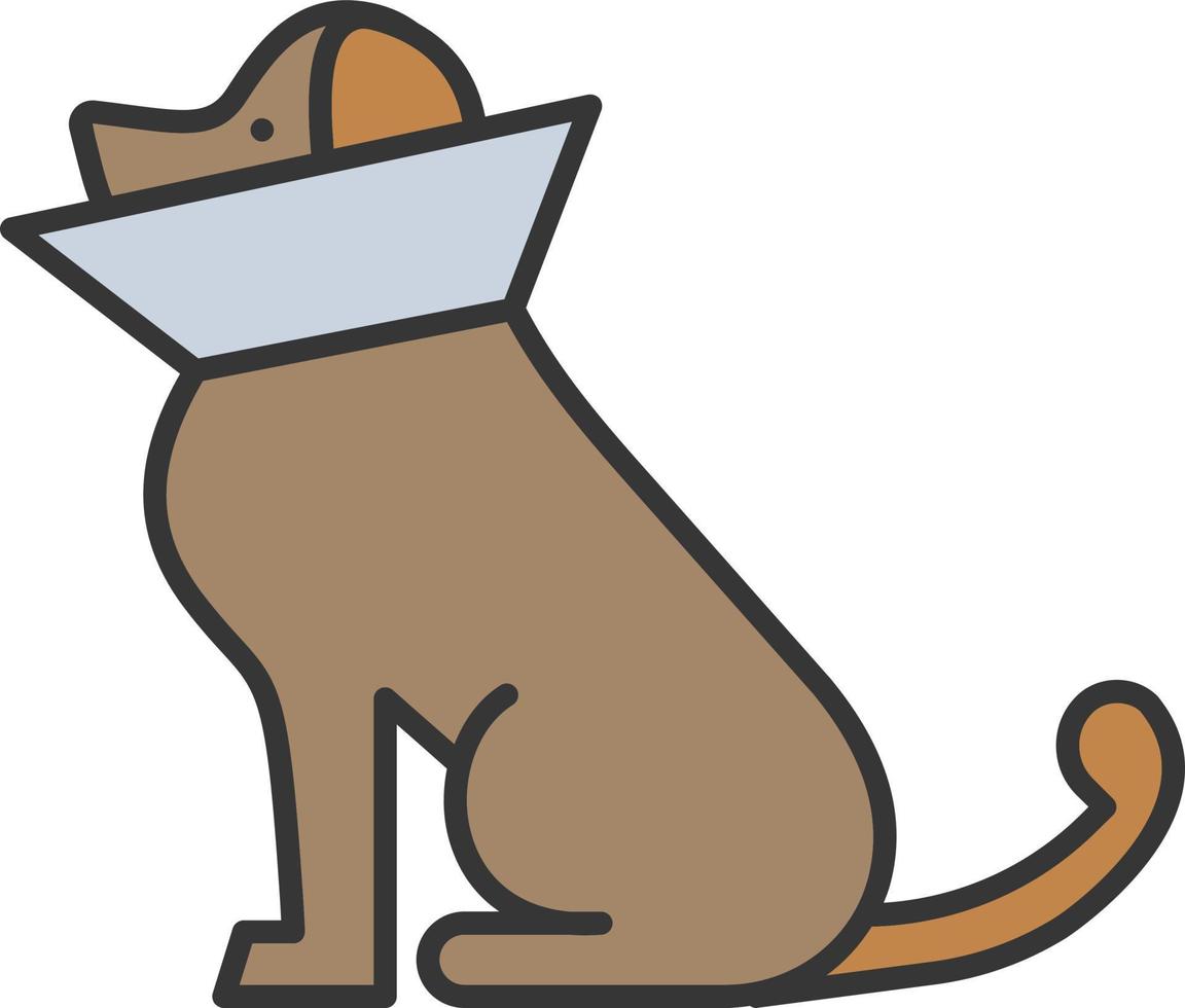 dog, cone of shame color icon vector