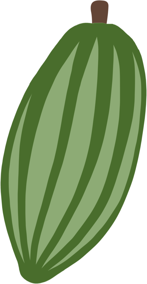 cacao frutta scarabocchio a mano libera disegno piatto design. png