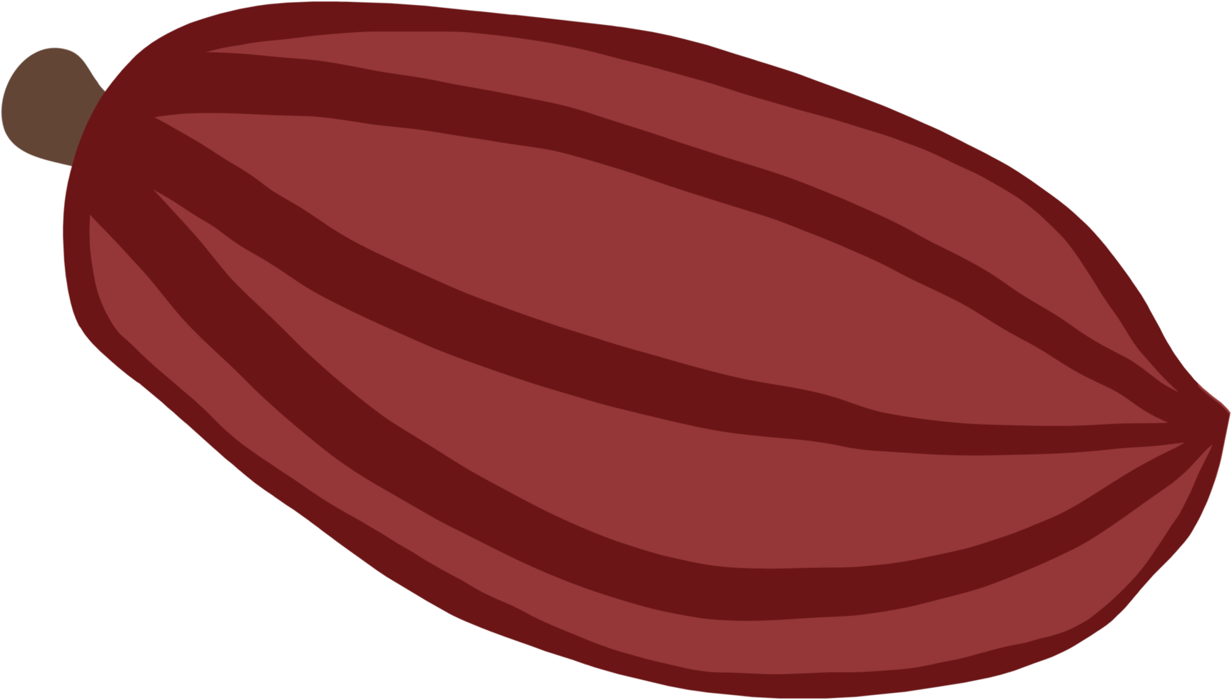 cacao fruit doodle freehand drawing flat deesign. png