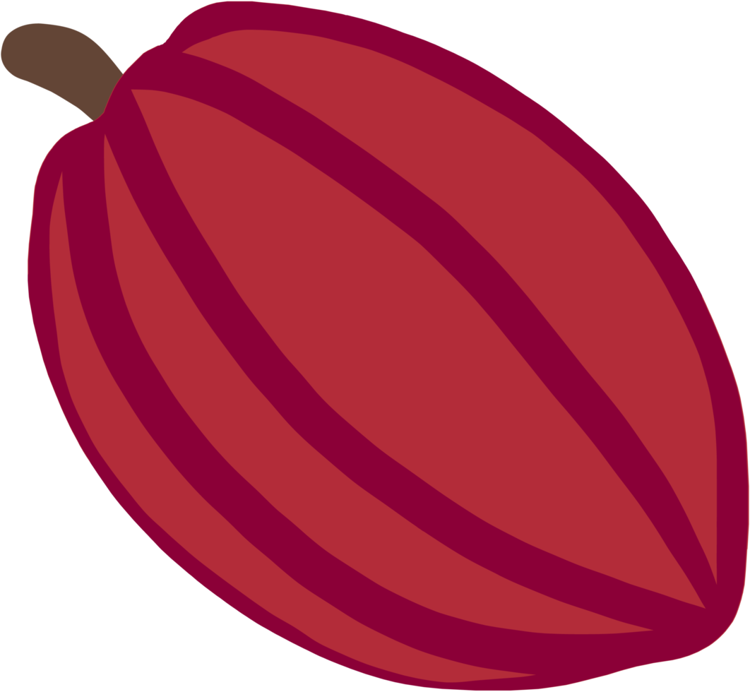 cacao fruit tekening uit de vrije hand tekening vlak ontwerp. png