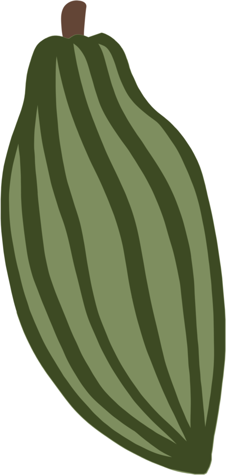 cacau fruta doodle desenho à mão livre design plano. png