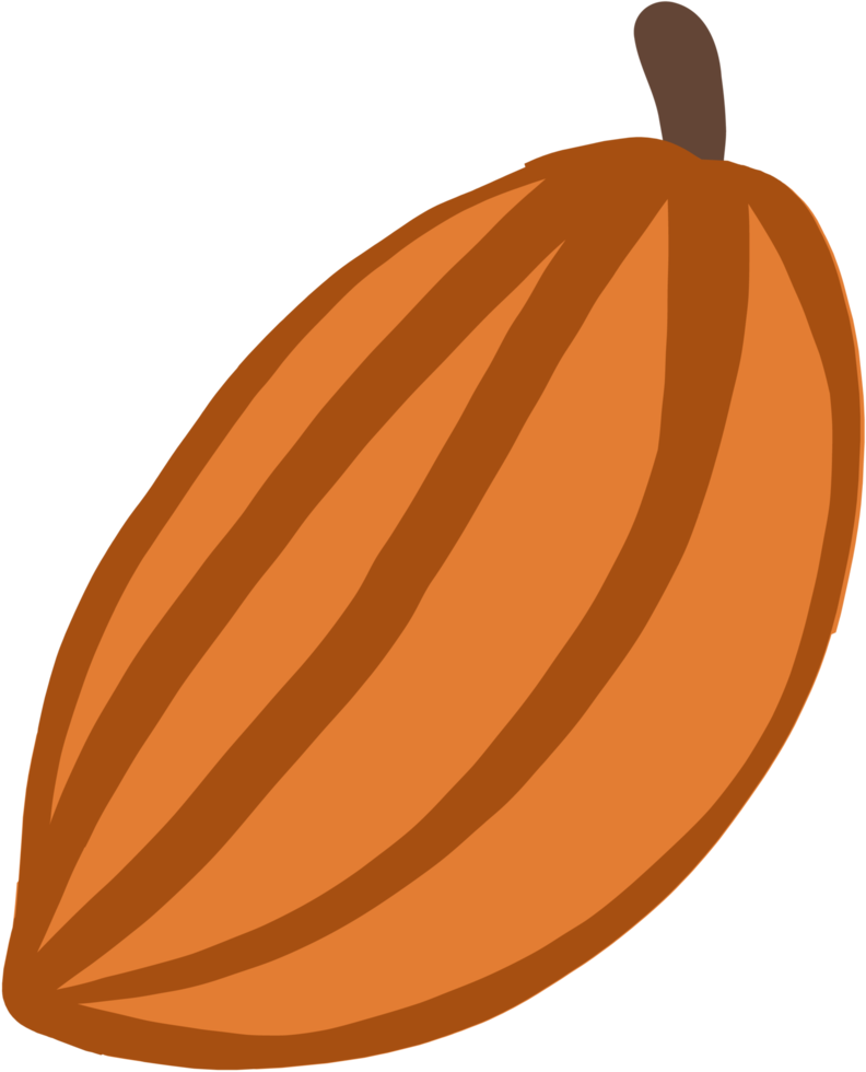 cacao fruta doodle dibujo a mano alzada diseño plano. png