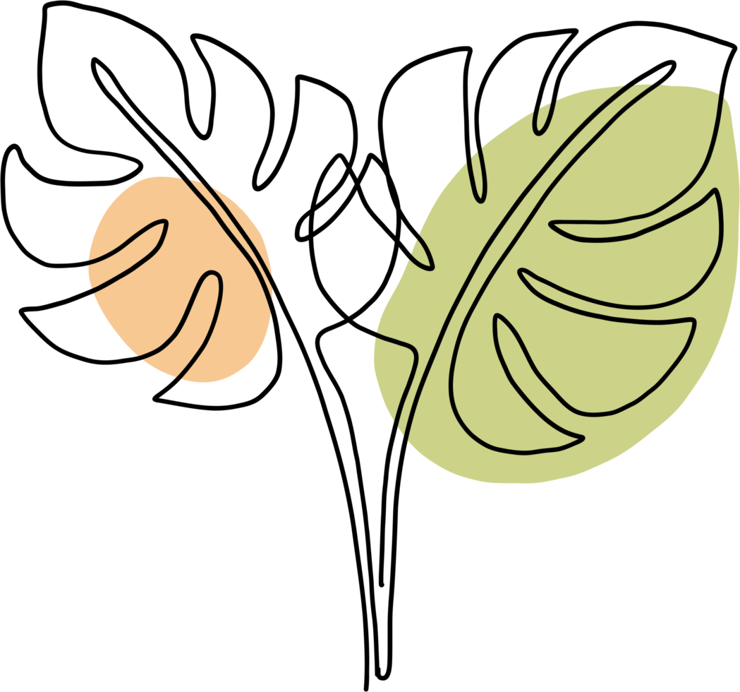 simplicity monstera leaf freehand continuous line drawing png