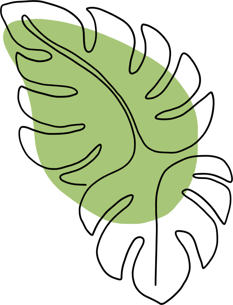 simplicity monstera leaf freehand continuous line drawing png