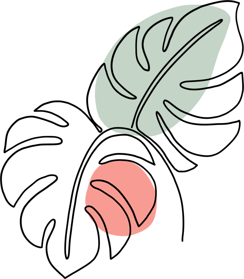 simplicity monstera leaf freehand continuous line drawing png