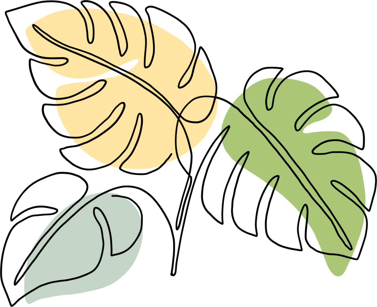 eenvoud monstera blad uit de vrije hand doorlopend lijn tekening png