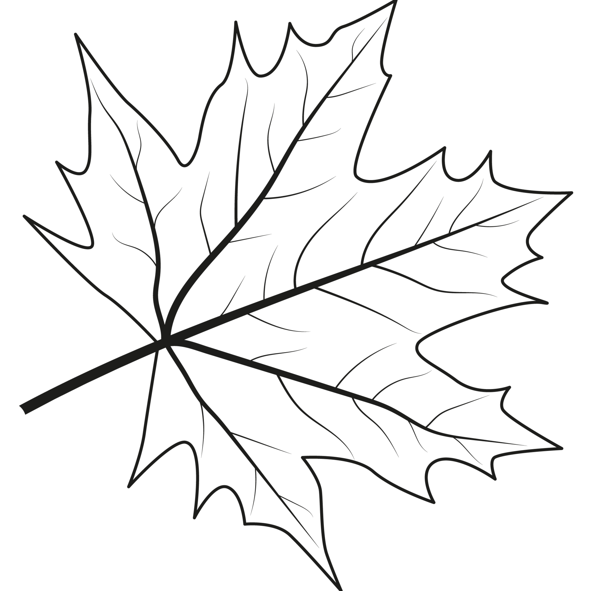 Maple Leaf Outline & Silhouette Clipart Set