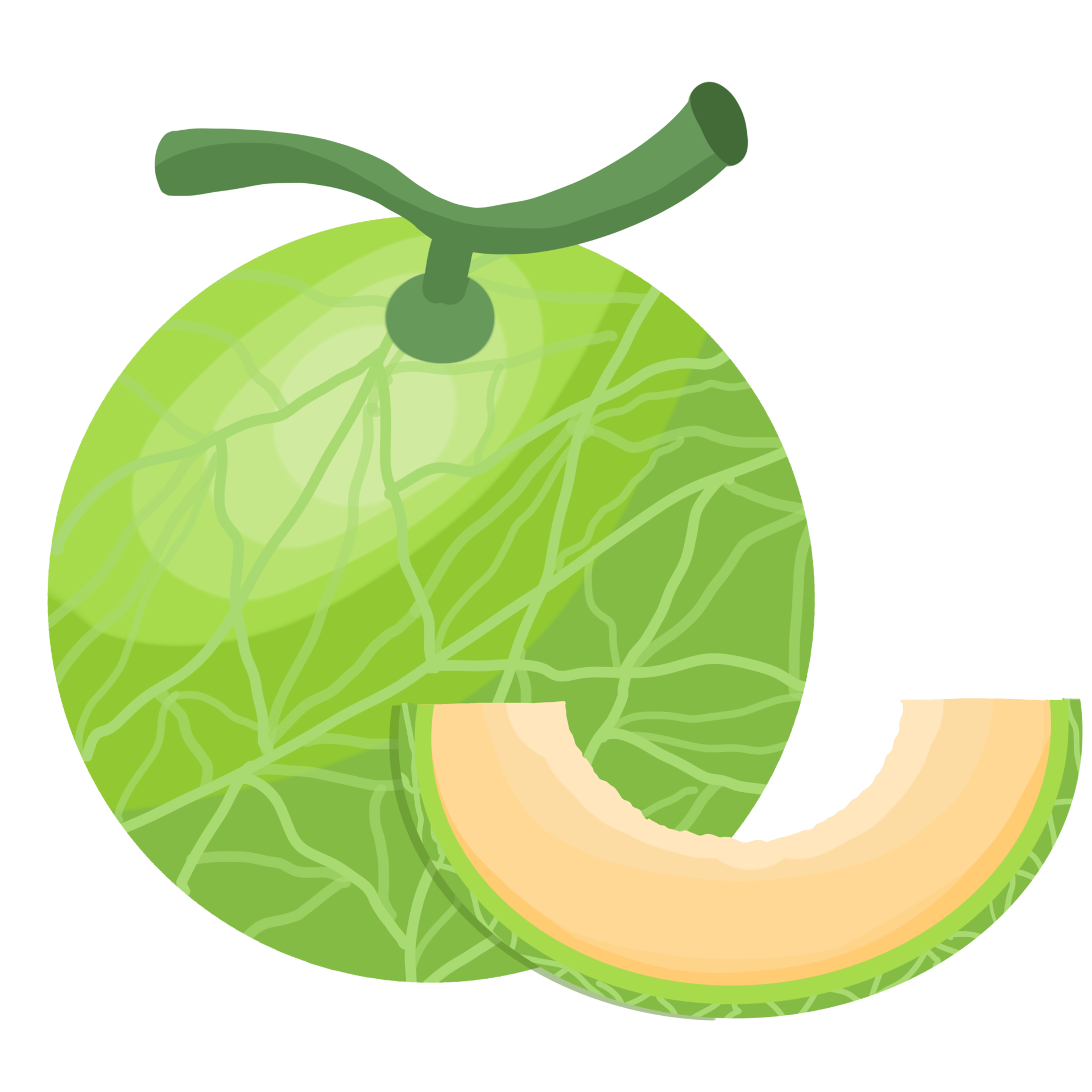 cantaloupe melon fruit 14059362 PNG