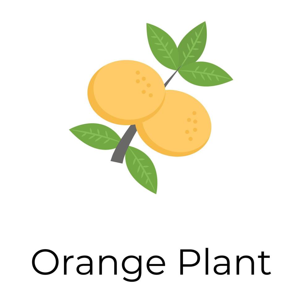 planta naranja de moda vector