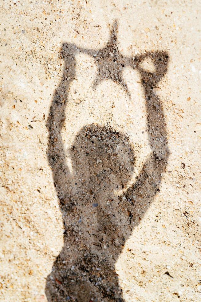 Shadow Of A Girl With Starfish photo