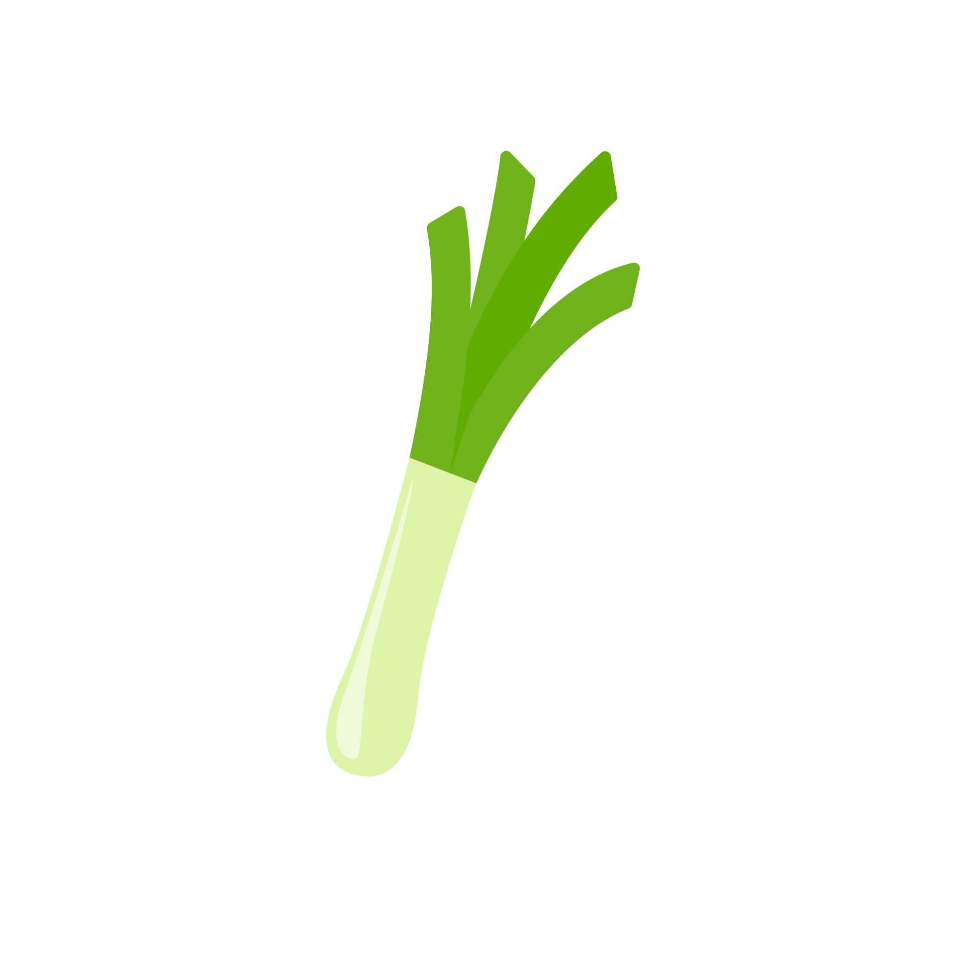Free Spring onions. ingredients for cooking 14062452 PNG with