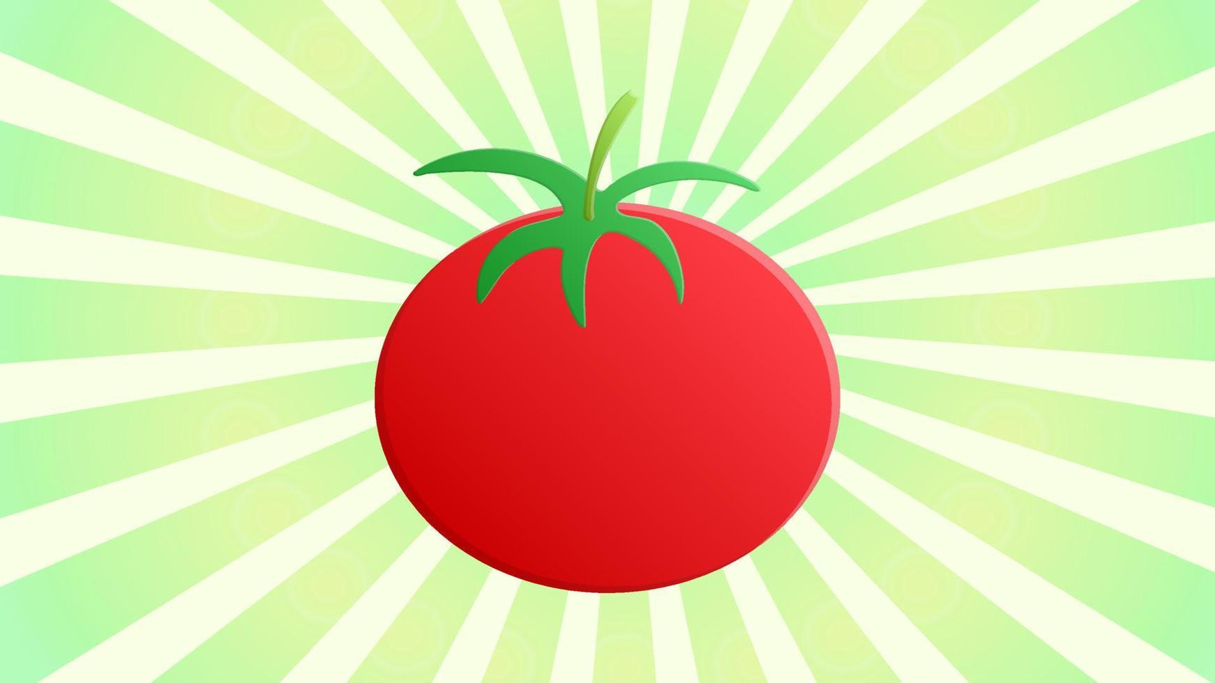 tomate sobre un fondo blanco-verde, ilustración vectorial. tomate apetitoso, ensalada fresca, comida sana. tomate jugoso para bajar de peso, vegetales brillantes y redondos vector