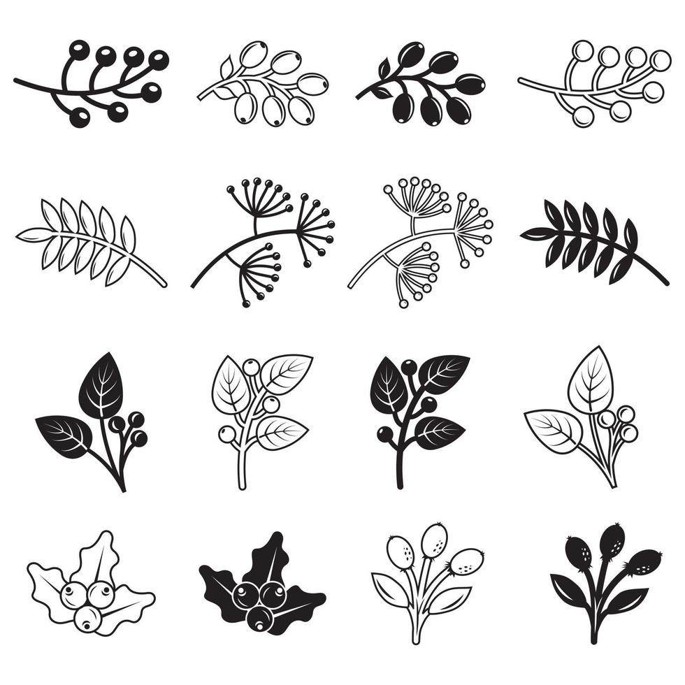 Autumn plants doodle elements. Contour elements of the plant in autumn. Vector graphics