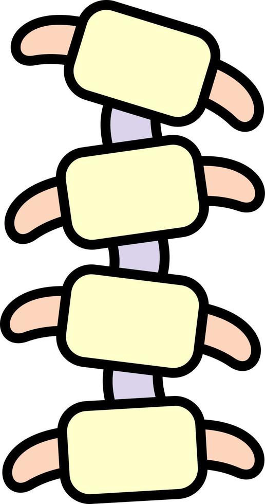 spine color icon vector