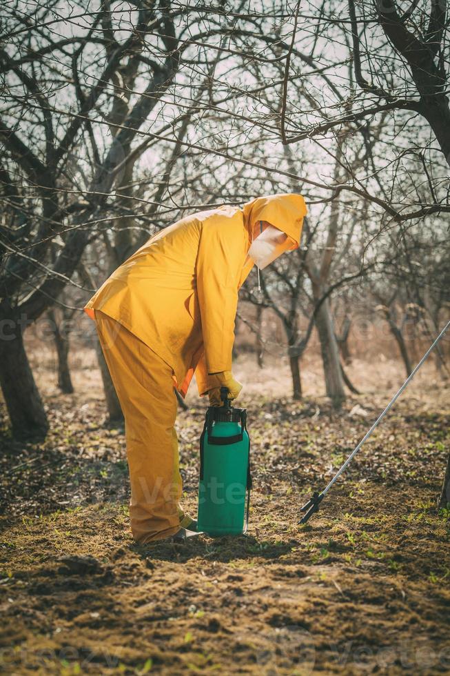 Spraying In The Orchard photo