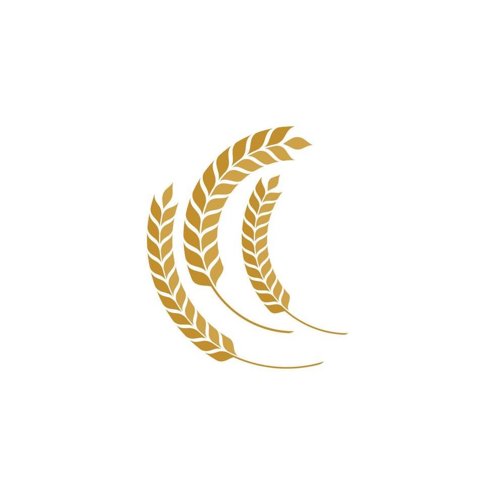 Agriculture wheat vector icon design