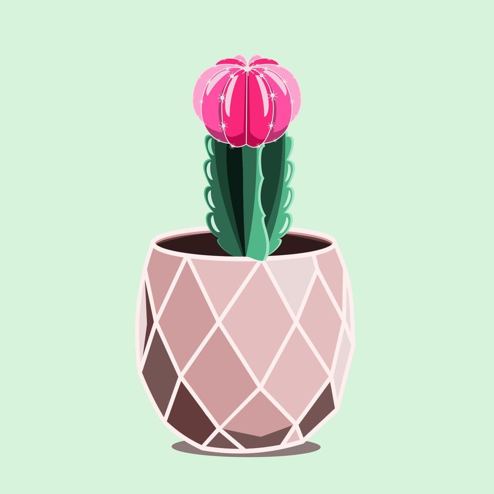 Blossom succulent in ceramic pot in flat technique vector illustration