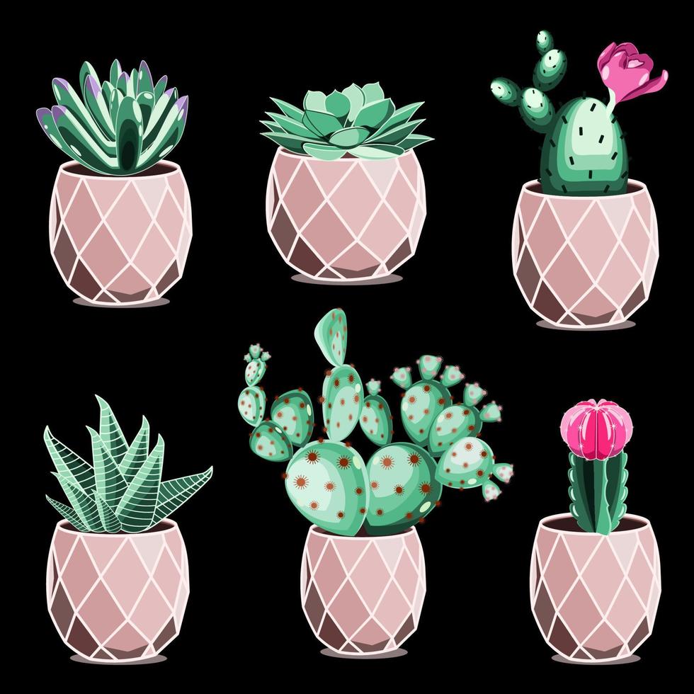 Cactuses and succulents in ceramic pots in flat technique vector