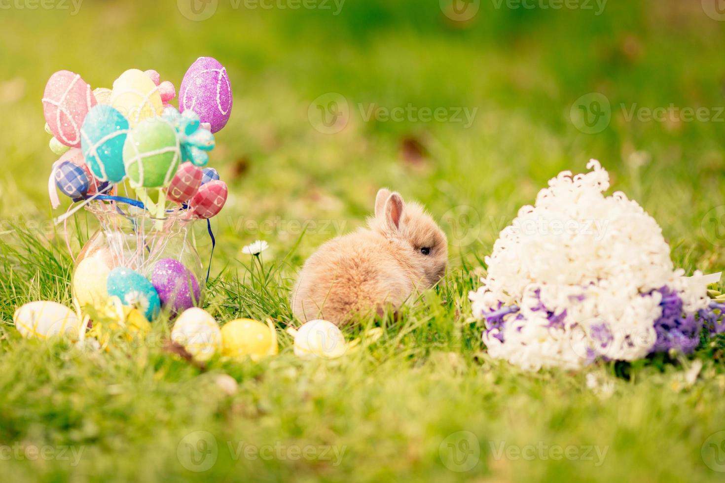 vista feliz pascua foto