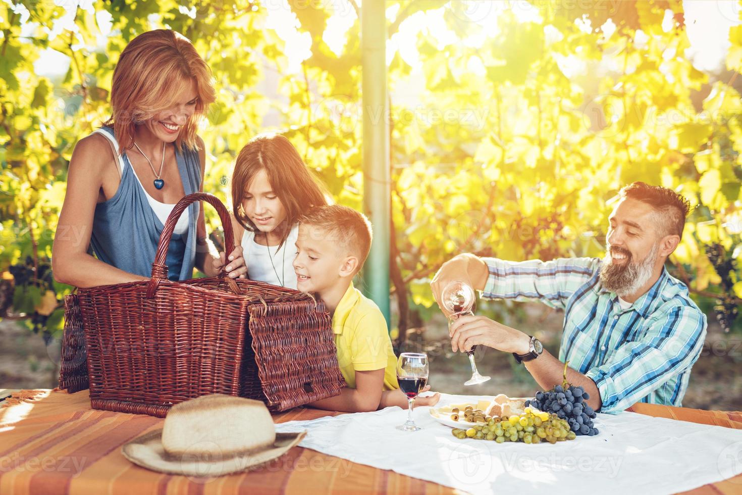 Picnic At Vineyard 14068865 Stock Photo at Vecteezy