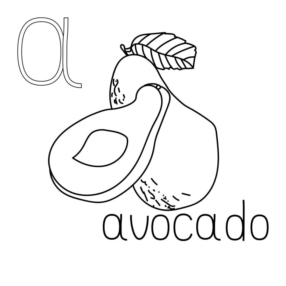 página para colorear abc de frutas y verduras, letra a - aguacate, tarjeta para colorear educada vector