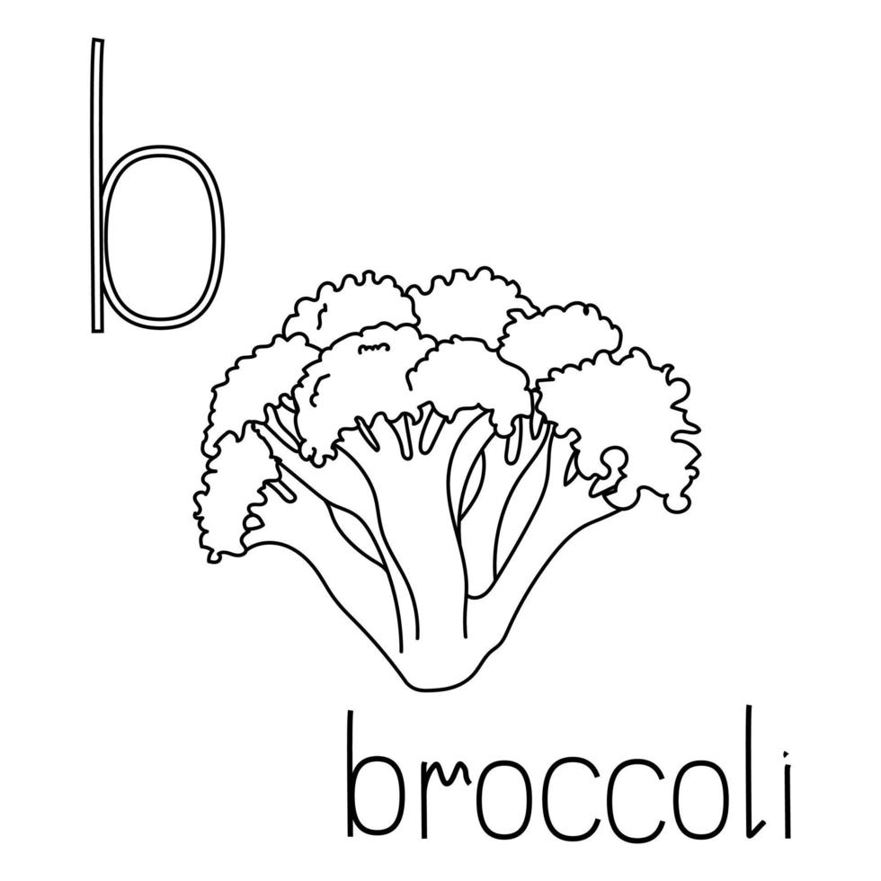 página para colorear abc de frutas y verduras, letra b - brócoli, tarjeta para colorear educada vector