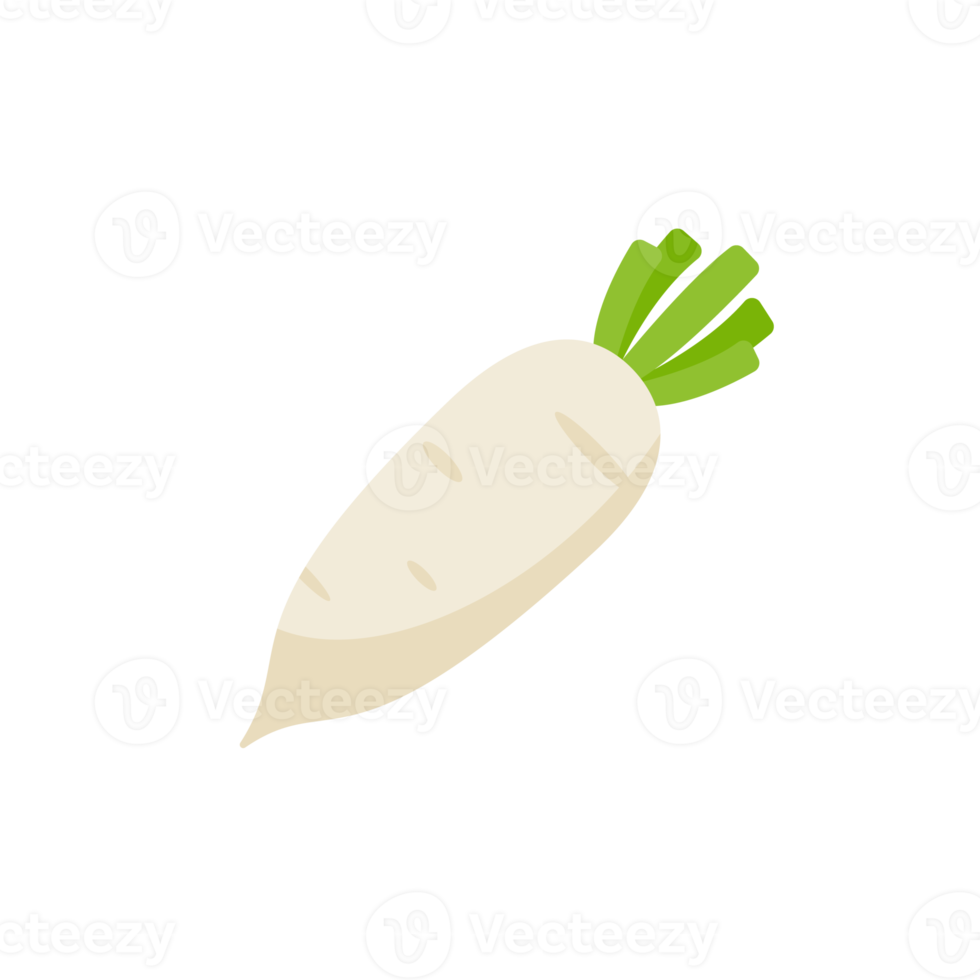 white radish Ingredients for Healthy Cooking png