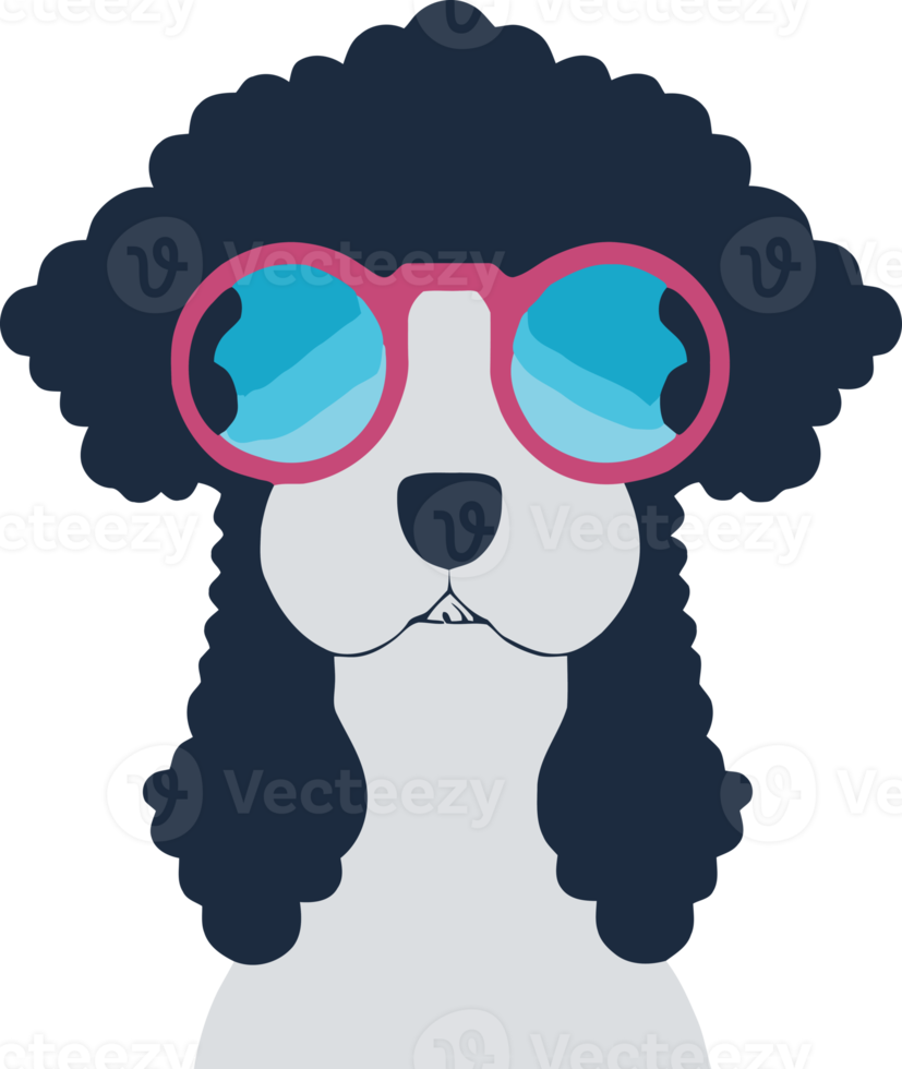 illustration graphic of cute poodle dog wearing sunglasses isolated good for icon, mascot, print, design element or customize your design png