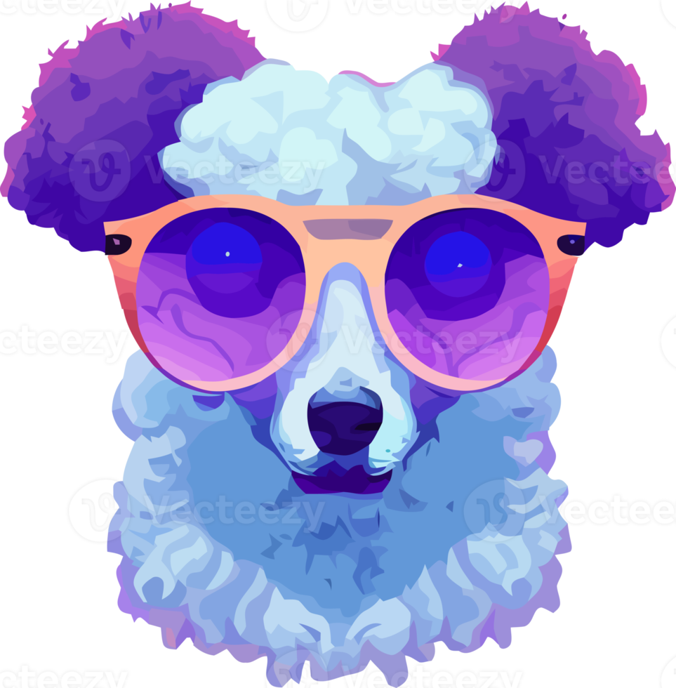 illustration graphic of poodle dog wearing sunglasses isolated good for icon, mascot, print, design element or customize your design png