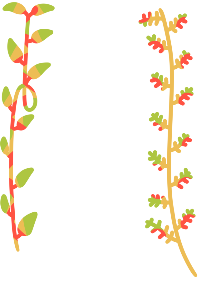 feuille esthétique décorative png