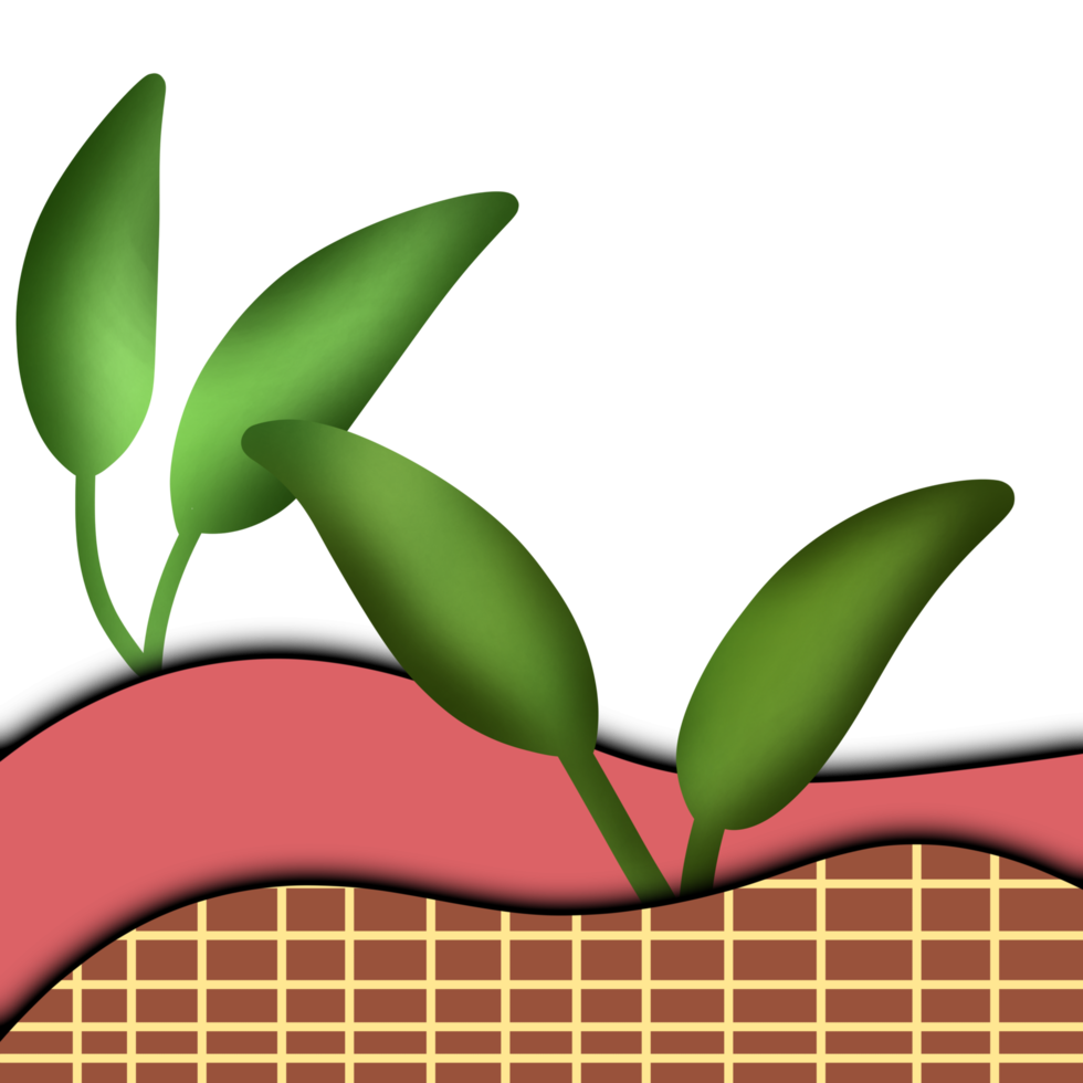 decorative Aesthetic Leaf png
