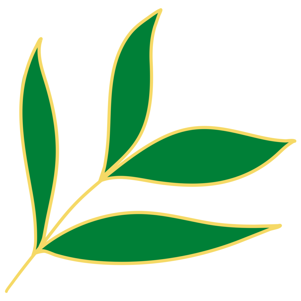 Leaves with Golden Line Art png