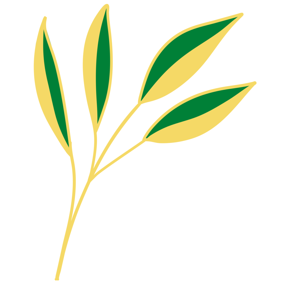 Leaves with Golden Line Art png