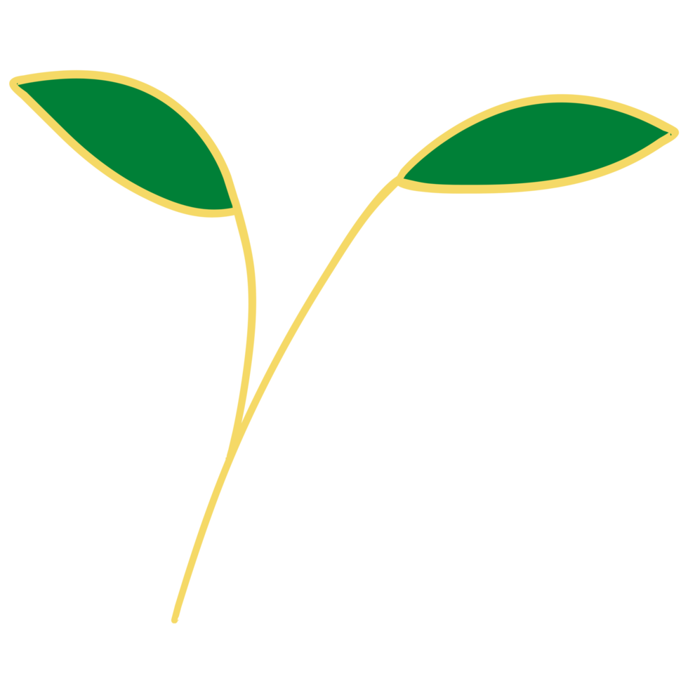 Leaves with Golden Line Art png