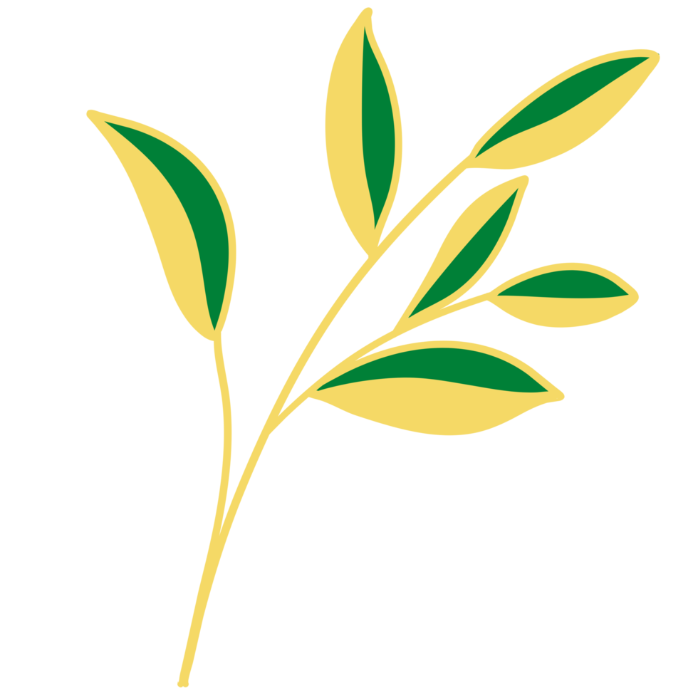 Leaves with Golden Line Art png