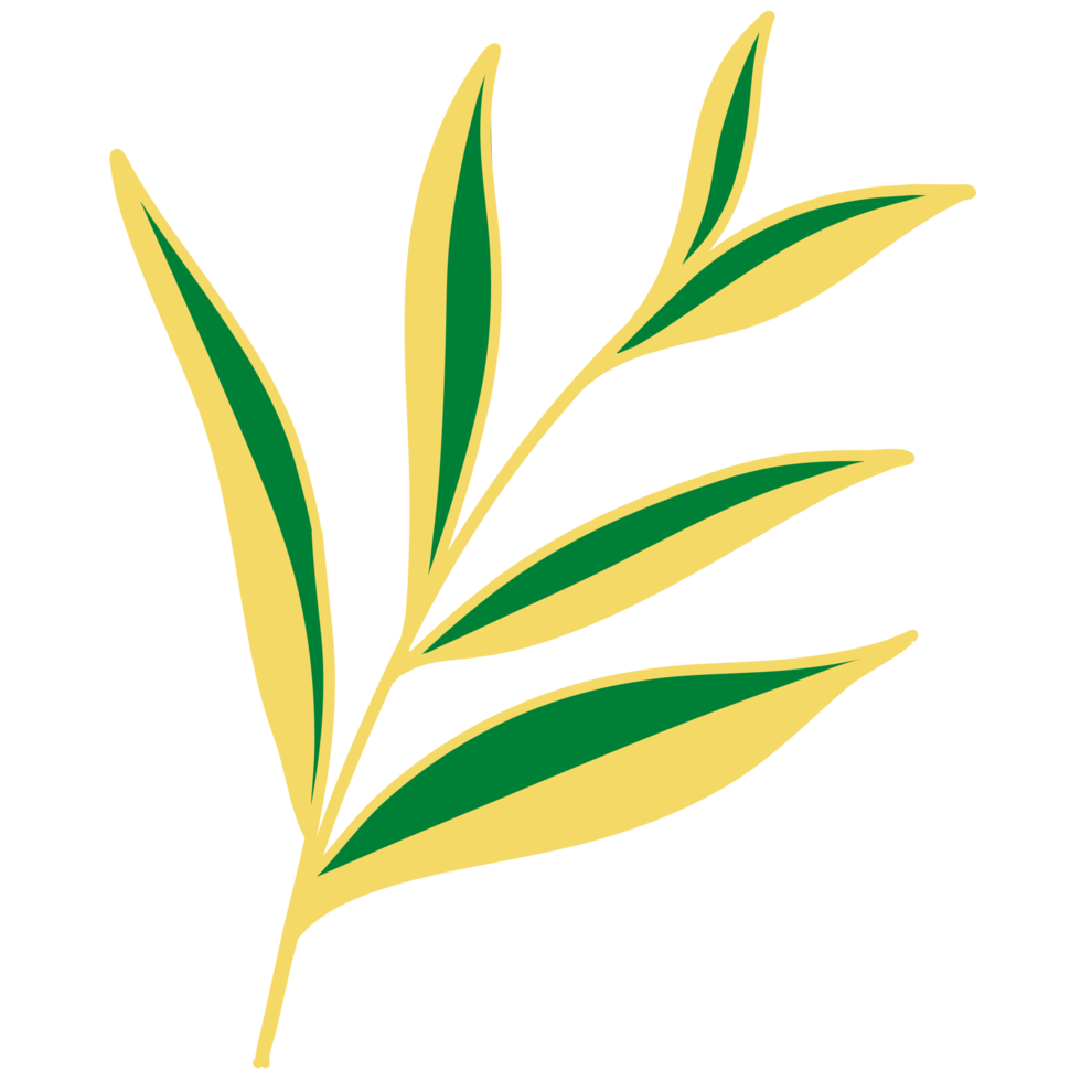 Leaves with Golden Line Art png
