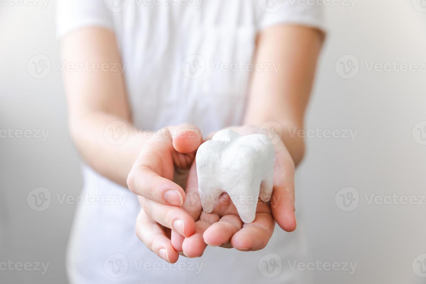 Health dental care concept. Woman hand holding white healthy tooth model isolated on white background. Teeth whitening, dental oral hygiene, teeth restoration, dentist day. photo
