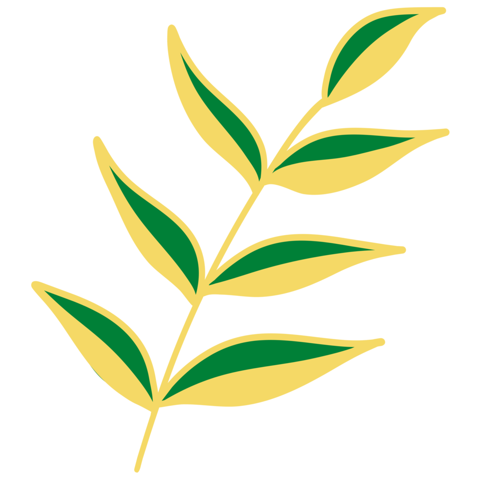 Leaves with Golden Line Art png