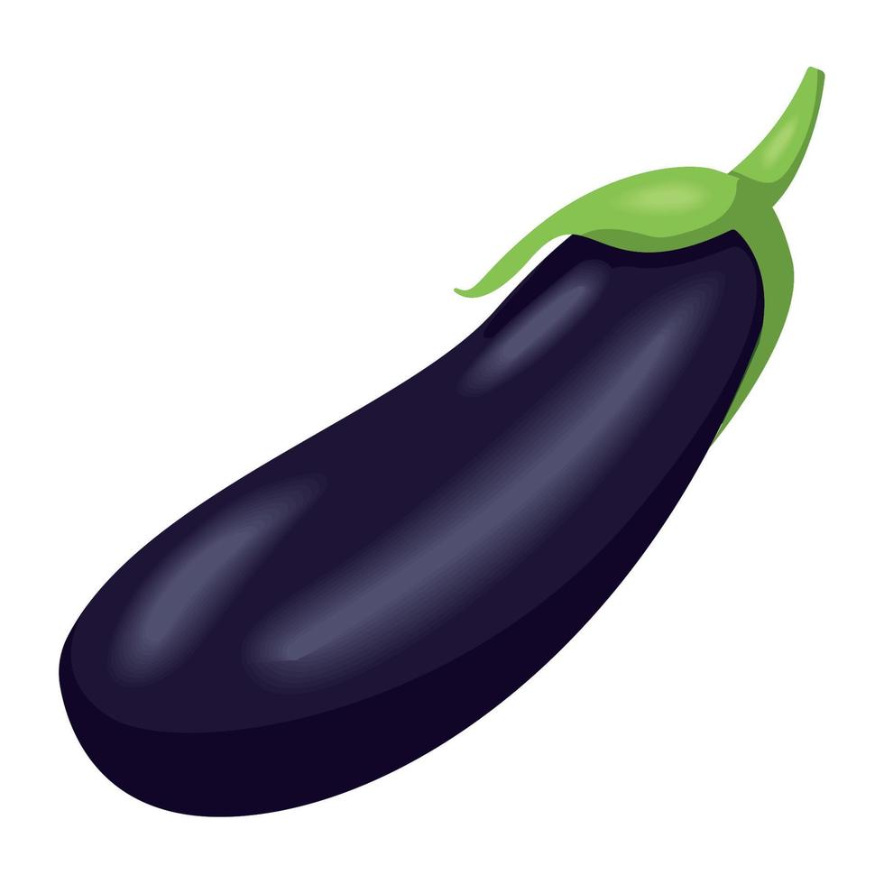 fresh eggplant vegetable vector